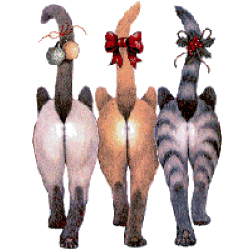 belphy, fleurette et sanisou en promenade